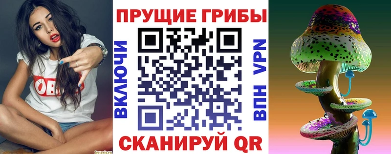 Псилоцибиновые грибы GOLDEN TEACHER  Купить  Ярцево 
